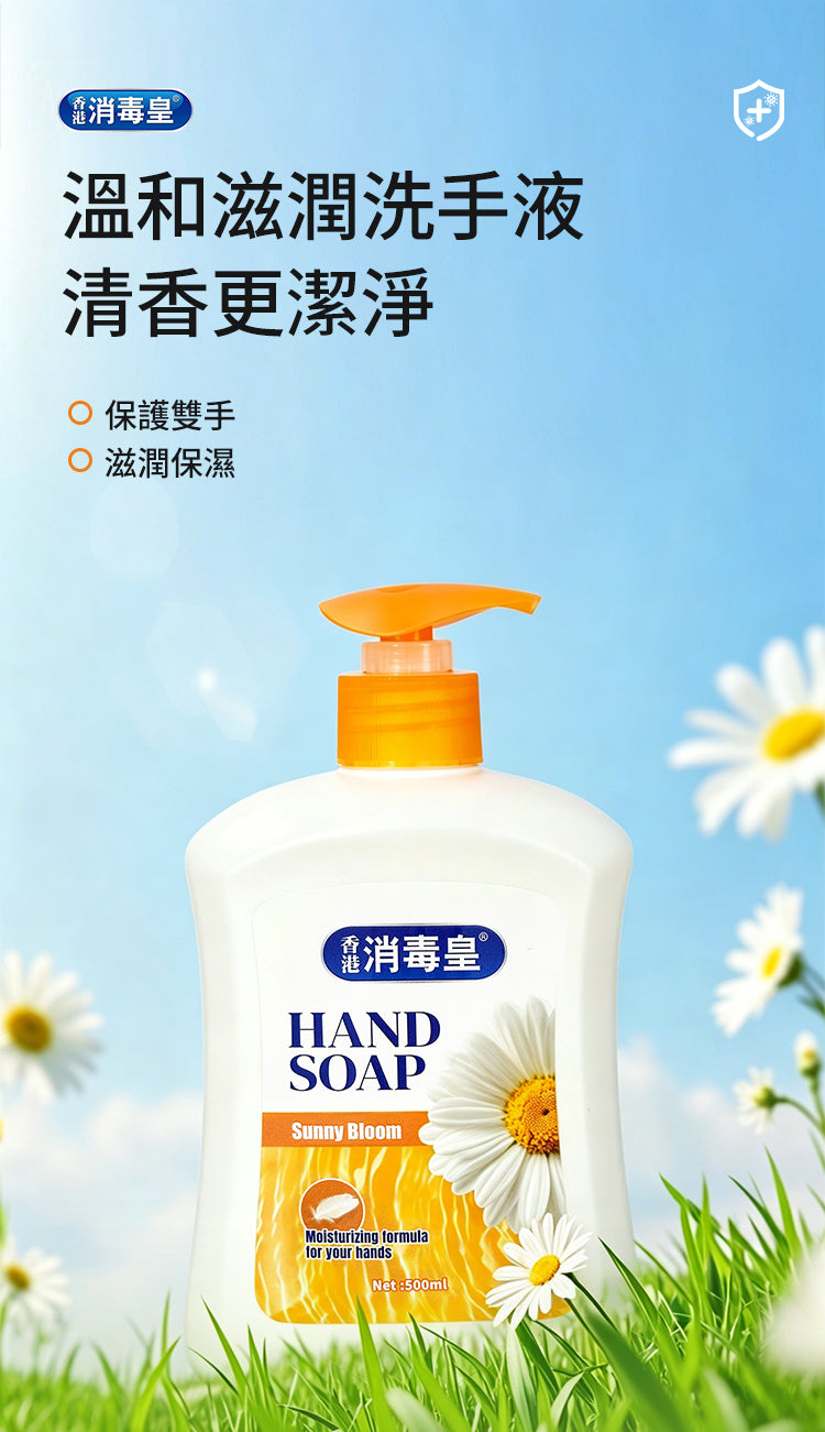 香港消毒皇 晴日花果洗手液