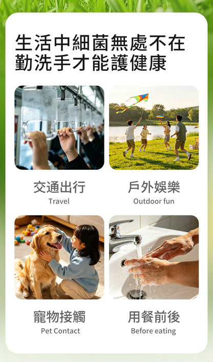 香港消毒皇 晴日花果洗手液