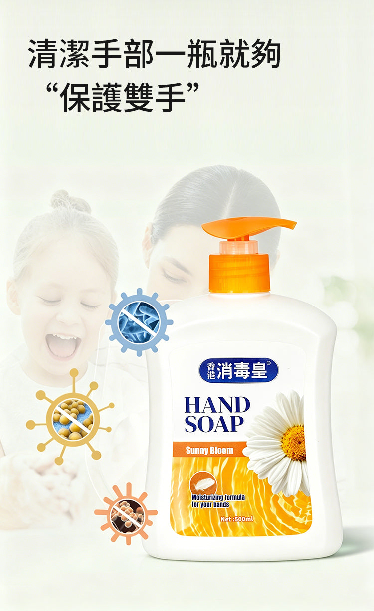 香港消毒皇 晴日花果洗手液