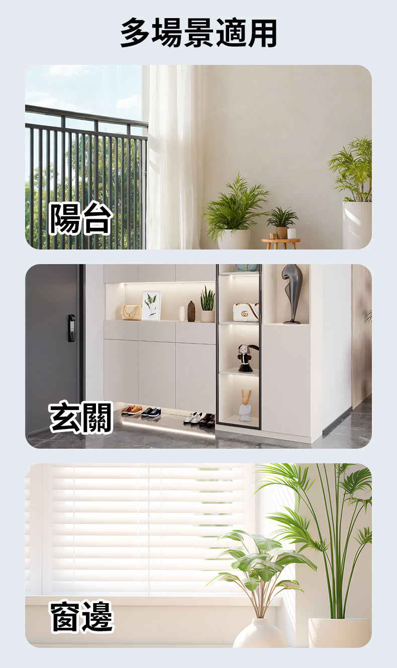 莎斯堡 防蚊網