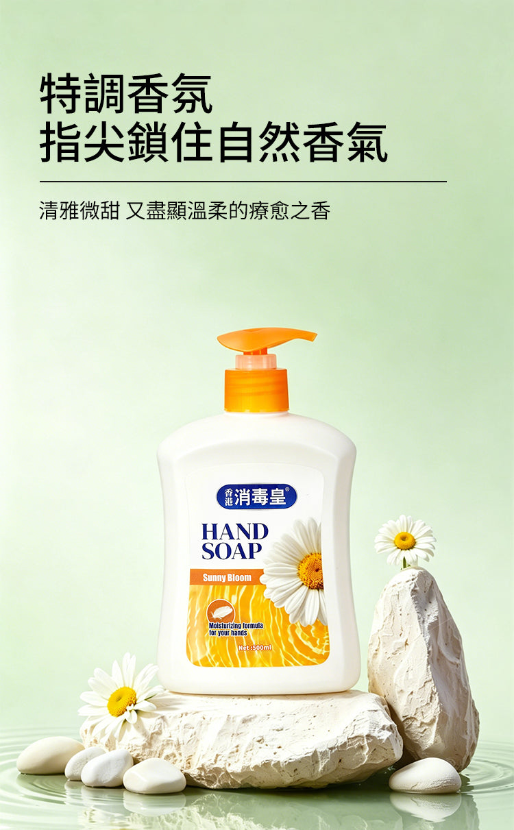 香港消毒皇 晴日花果洗手液