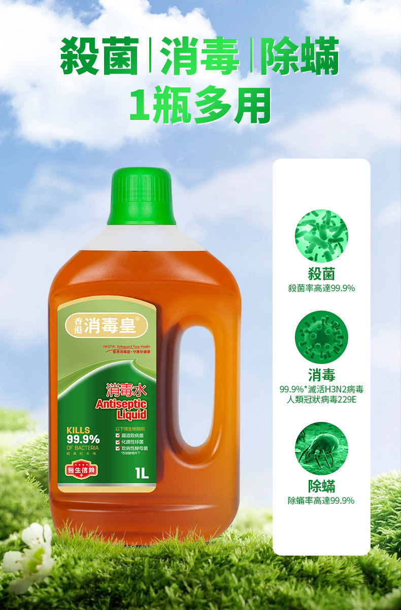 香港消毒皇 經典松木味消毒水