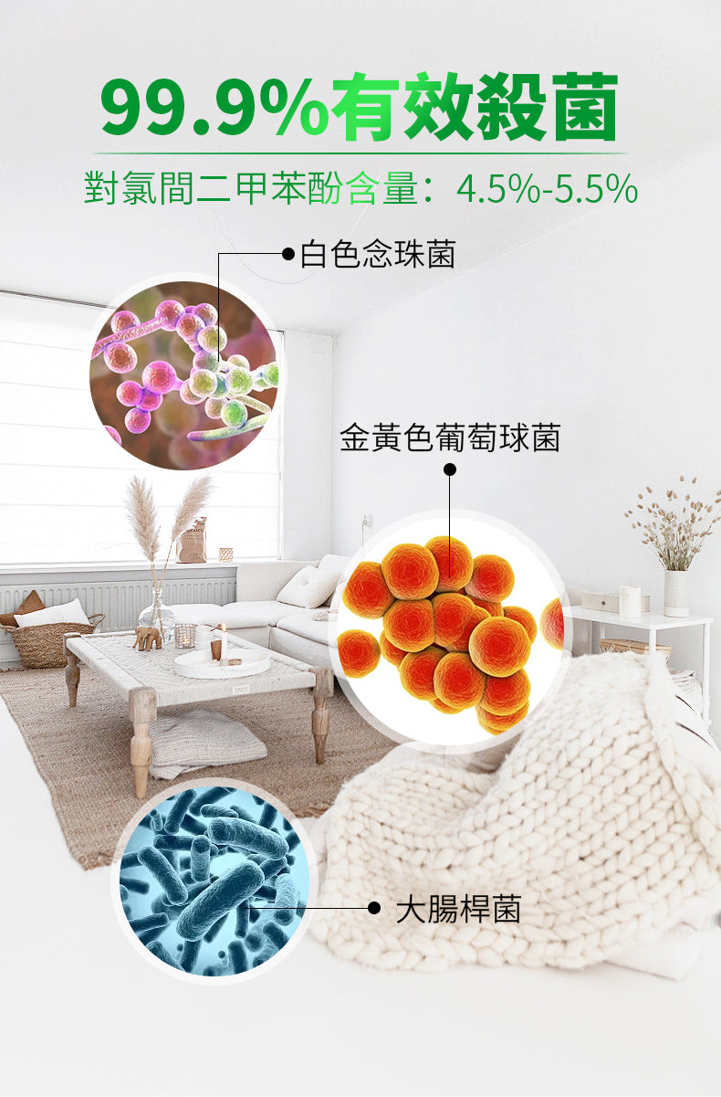香港消毒皇 經典松木味消毒水