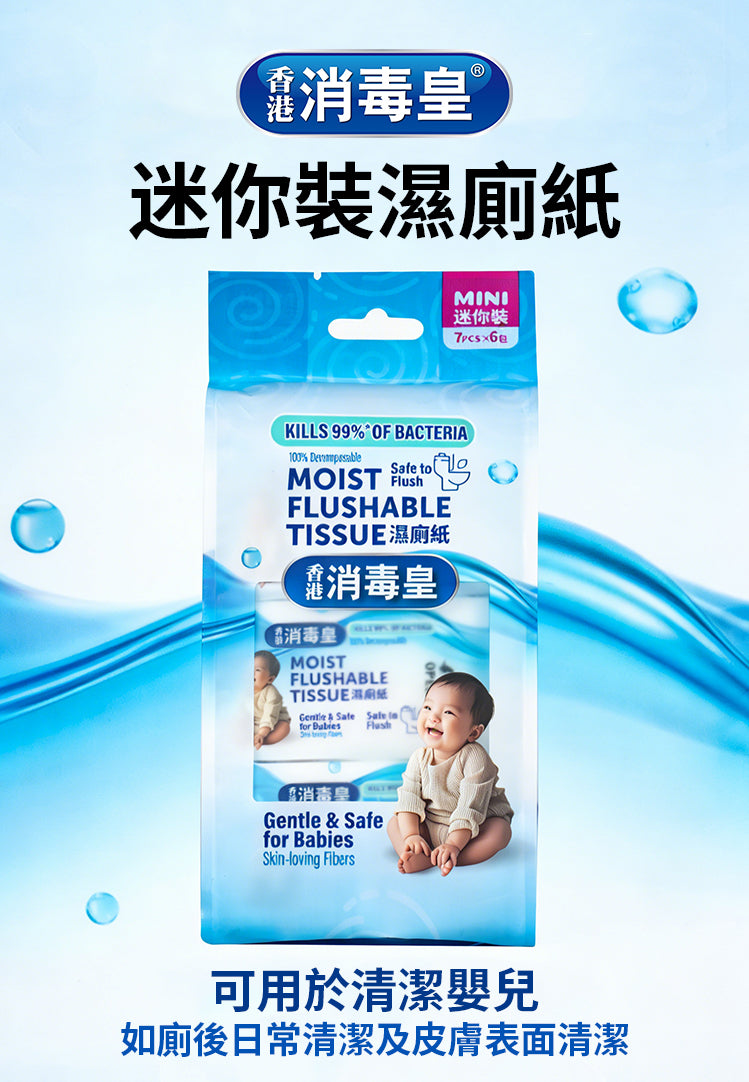 香港消毒皇 迷你濕廁紙