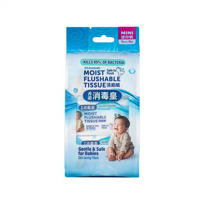 香港消毒皇 迷你濕廁紙
